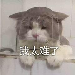 交了 1000 块话费之后，我来跟你聊一波 Google Fi